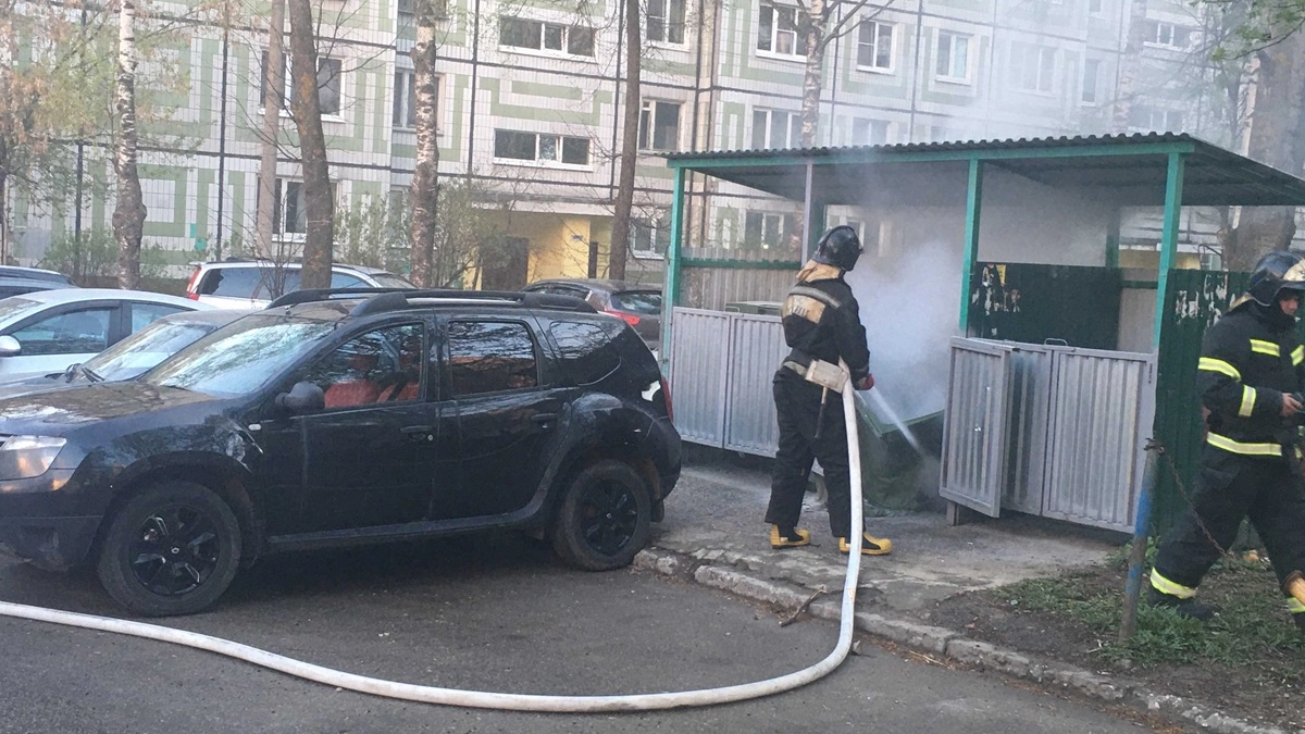 Лесных пожаров стало в шесть раз меньше: итоги сезона во Владимирской области