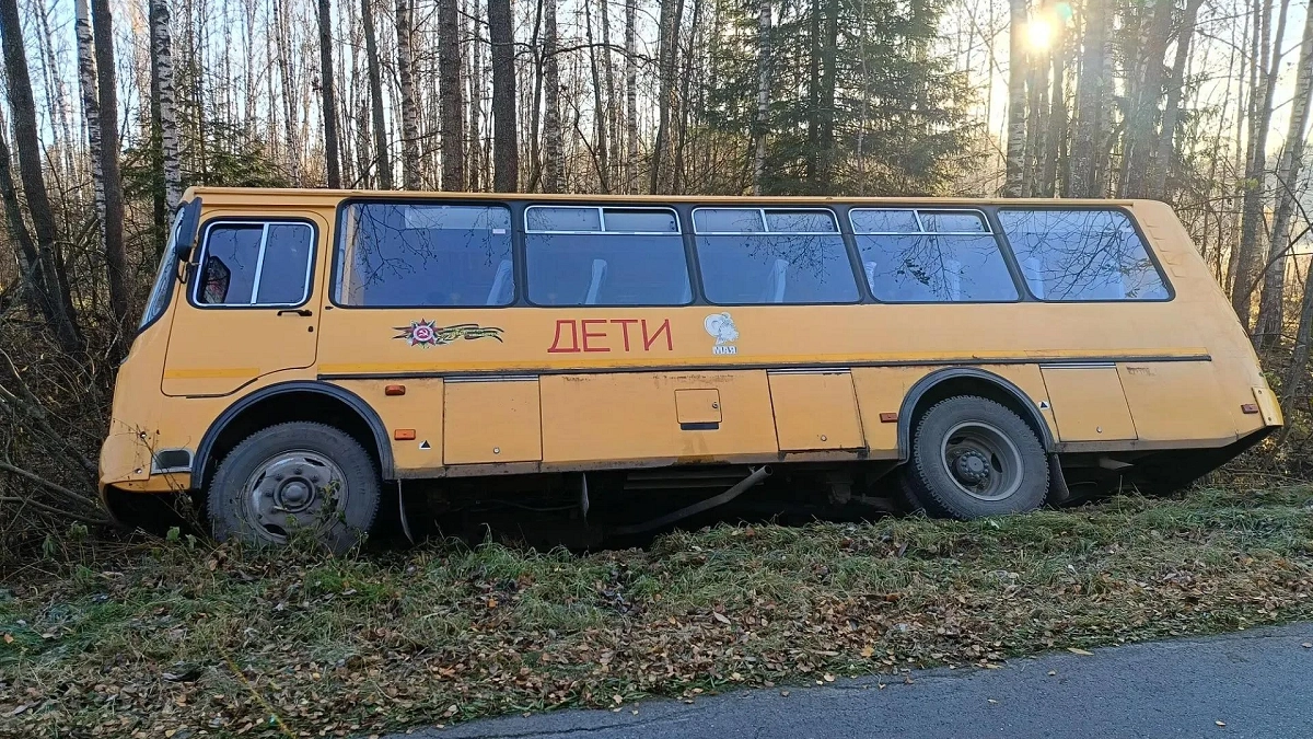 В Петушинском районе автобус со школьниками съехал в кювет