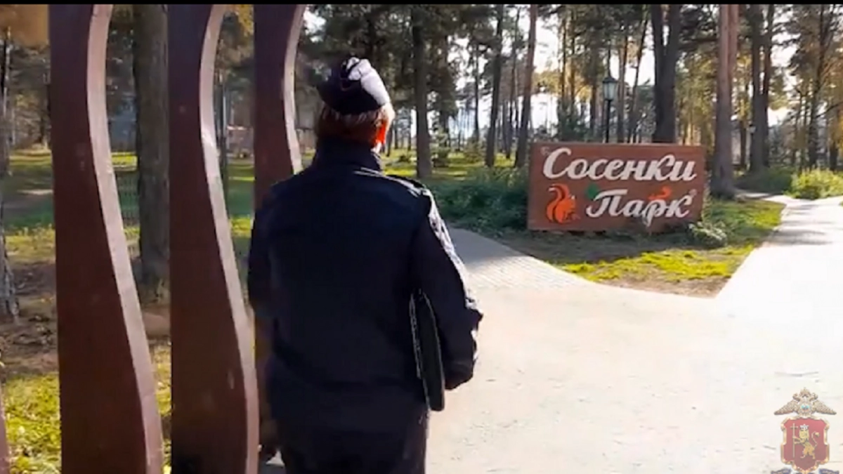 Полиция Александрова нашла нарушителей порядка в парке «Сосенки» по видео из соцсетей