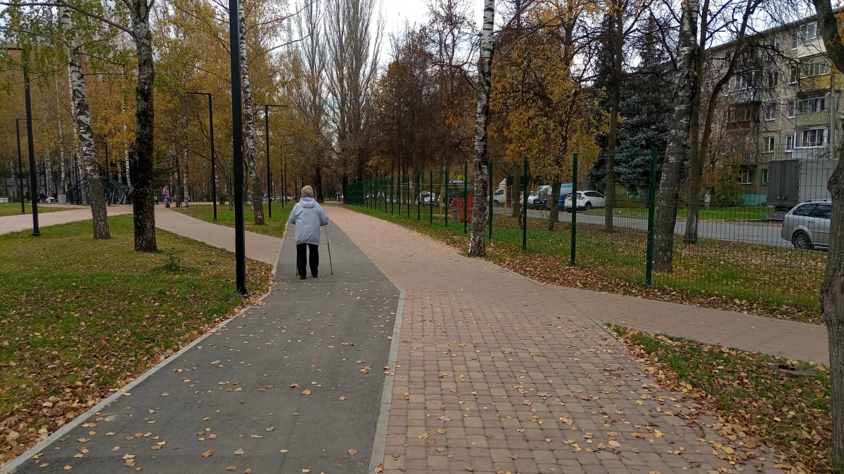 Синоптики рассказали, какая погода будет во Владимире 28 октября