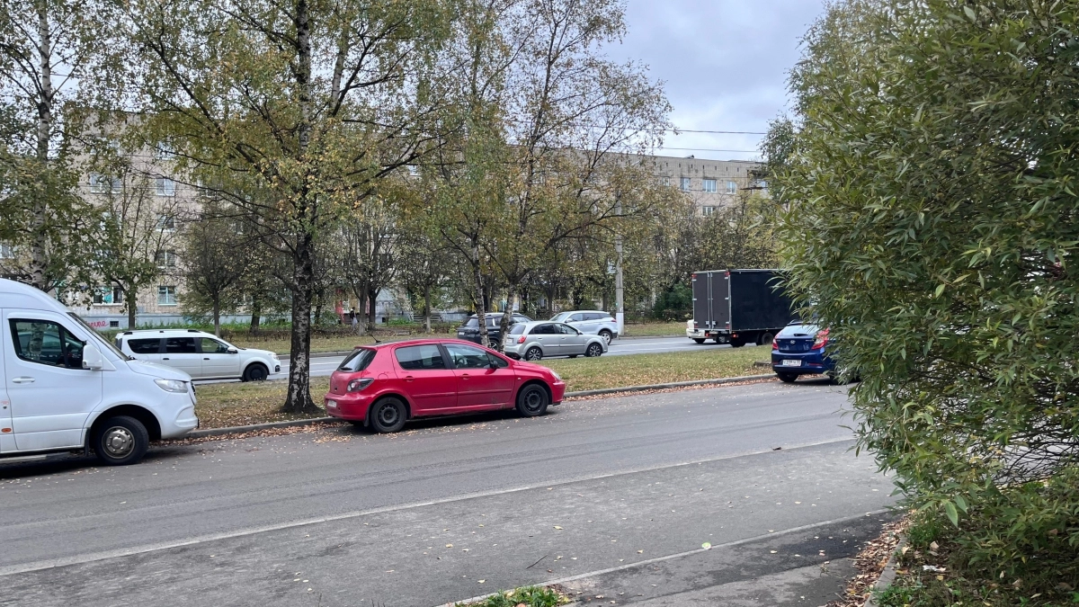 Синоптики рассказали, какая погода будет во Владимире 29 октября