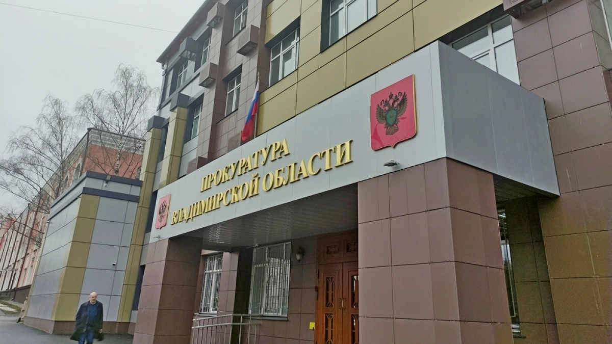 В Гусь-Хрустальном женщине недоплатили пособие на детей из-за мнимых алиментов
