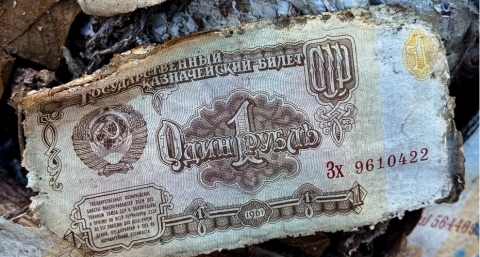 В лесу Владимирской области нашли свалку мешков с миллиардами советских рублей