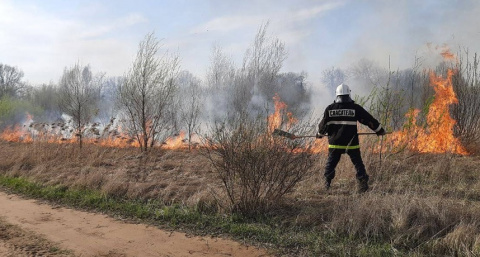 Под Владимиром пожарные тушили возгорание сухой травы 