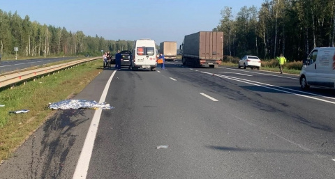 В Судогодском районе вынесли приговор водителю, который насмерть сбил женщину 