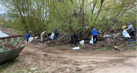 Во Владимире убрали несколько несанкционированных свалок в рамках субботника