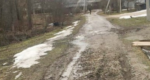Бастрыкин взял на контроль проверку о разбитой дороге в Кольчугине