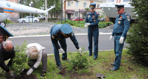 Владимирские спасатели посадили туи для «Сквера памяти»