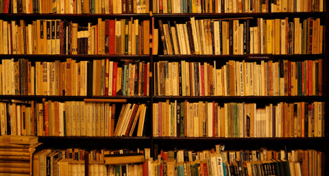 27 мая во Владимире пройдёт уличная акция «Бегущая книга» в День библиотек