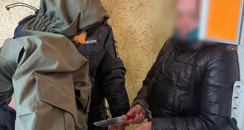 Жительницу Кольчугина осудят за попытку убить знакомого