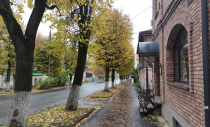 Теплый ноябрь в России: какие регионы ждут аномальные температуры - свежий прогноз Вильфанда