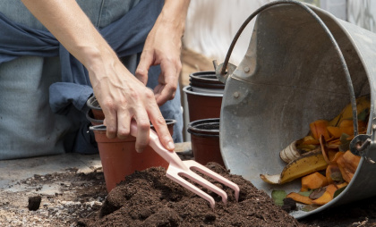 Собинке 45-летний местный житель высадил дома запрещенные растения