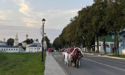 Бастрыкин взял на контроль ДТП с пострадавшим от повозки мужчиной в Суздале