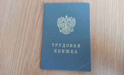 В Киржаче закрыли 6 сайтов по продаже трудовых книжек со стажем