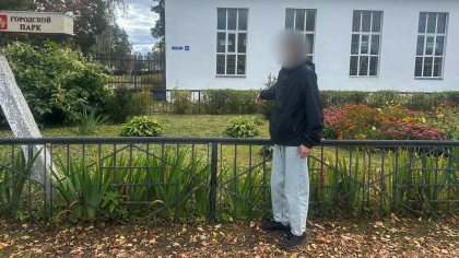 Приезжие из Подмосковья устроили разборку в Костерево с перцовкой и кулаками