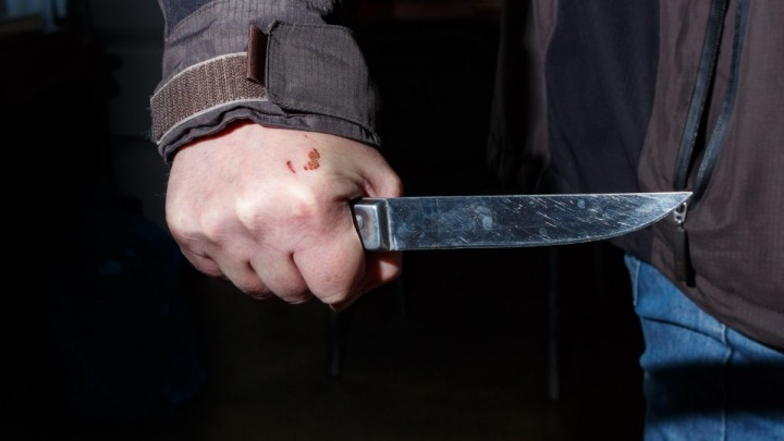  во Владимирской области зарезали мать и дочь