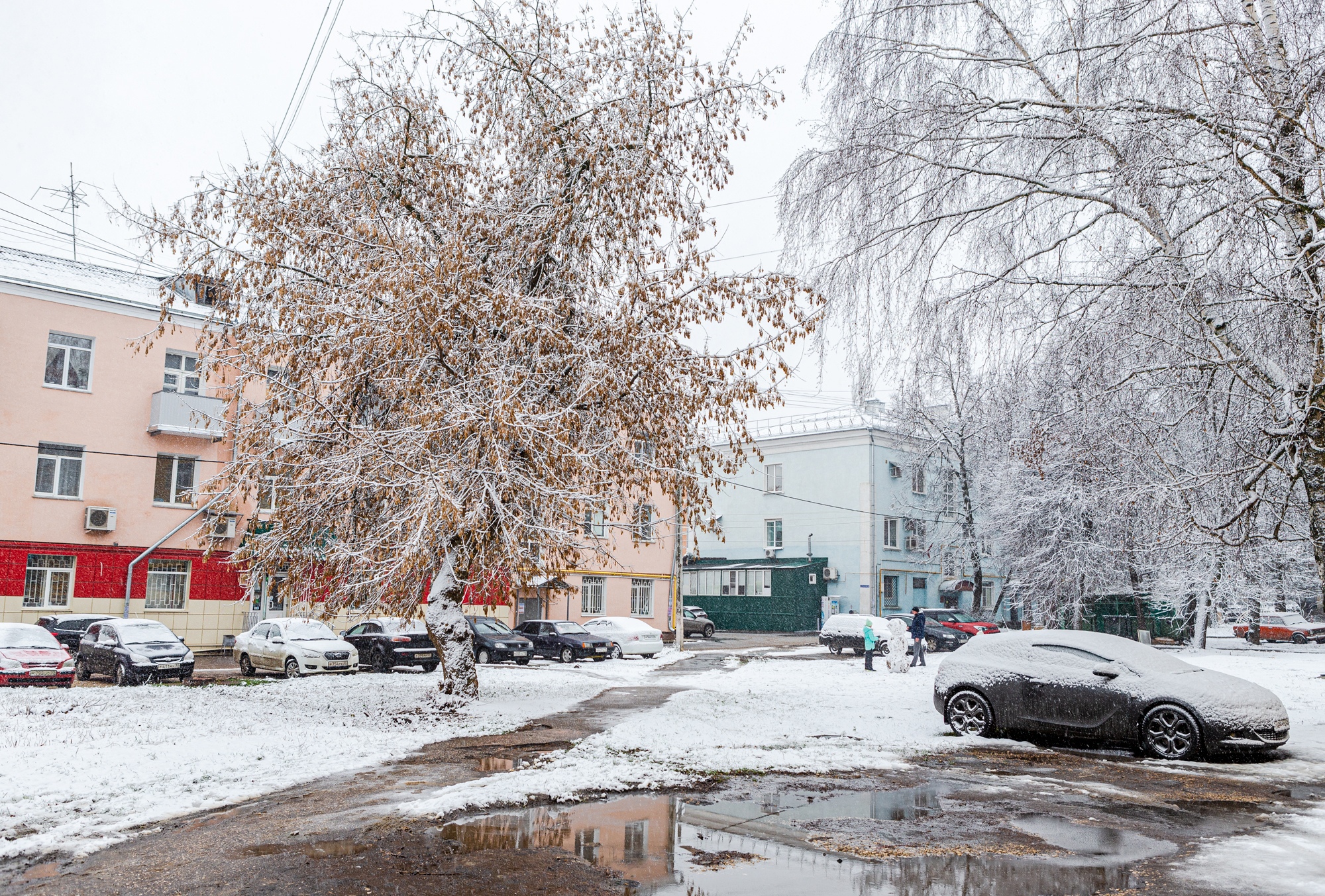 Владимирский синоптики