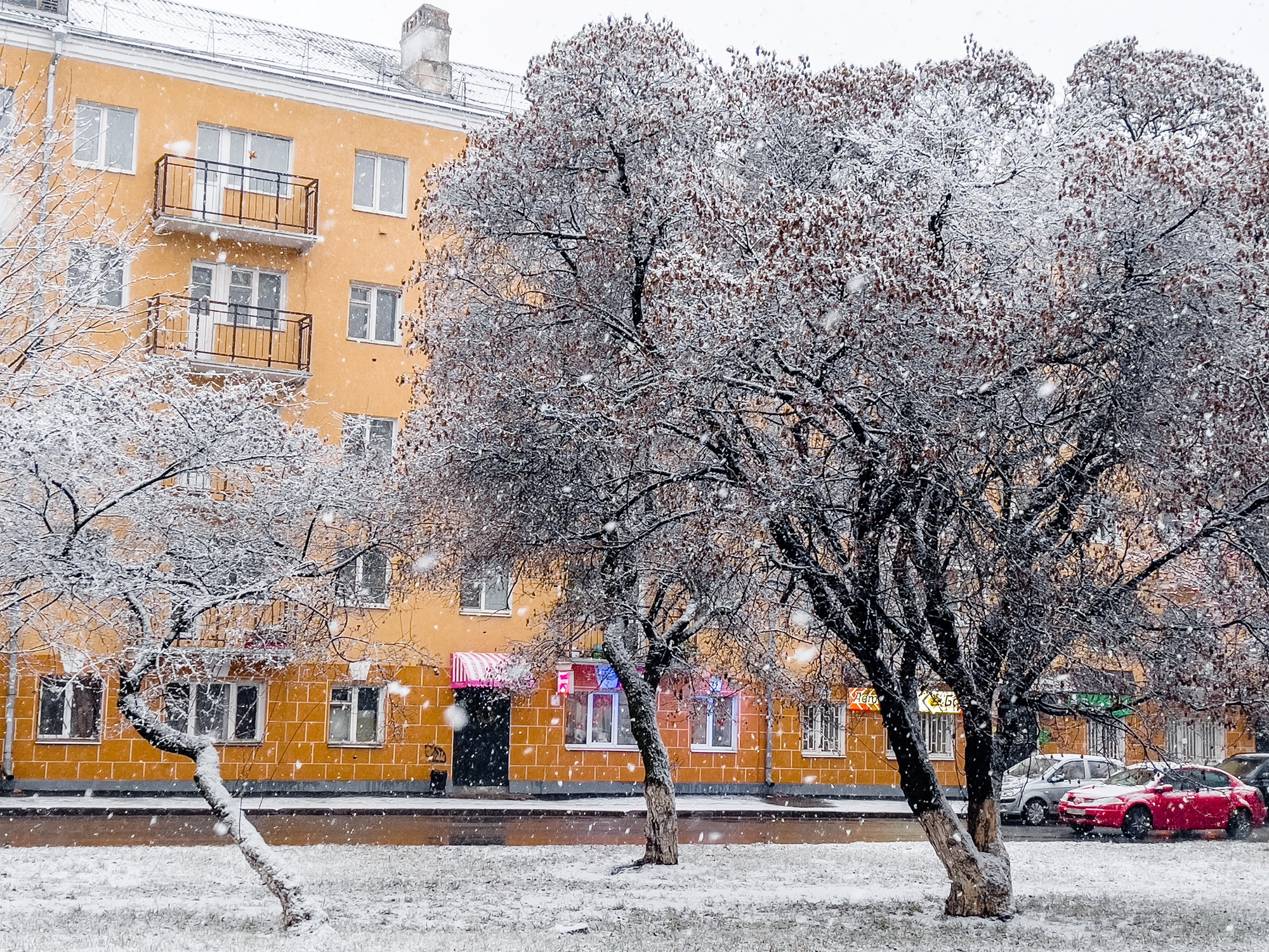 Владимирцев сегодня ждёт самый холодный день ноября