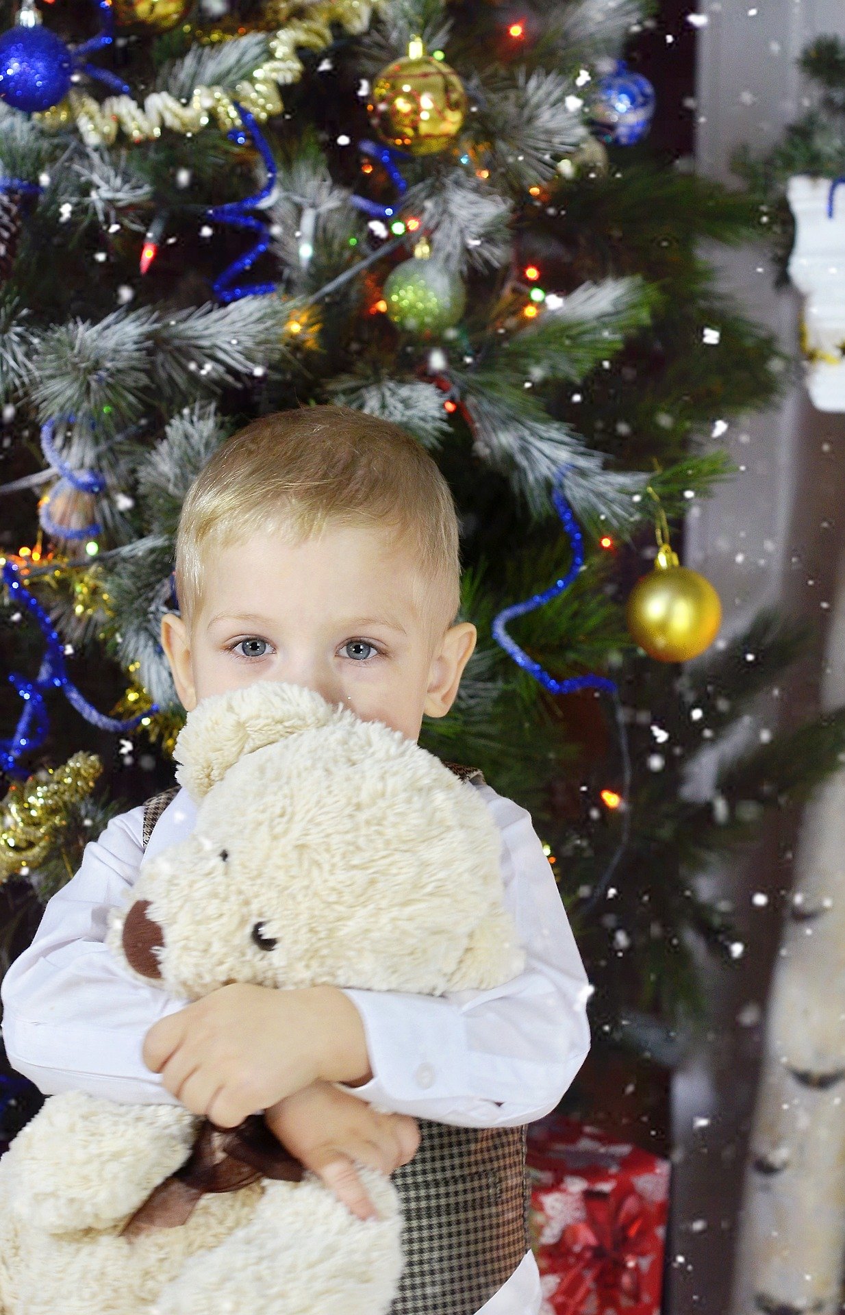 Во Владимире раздают бесплатные новогодние подарки детям