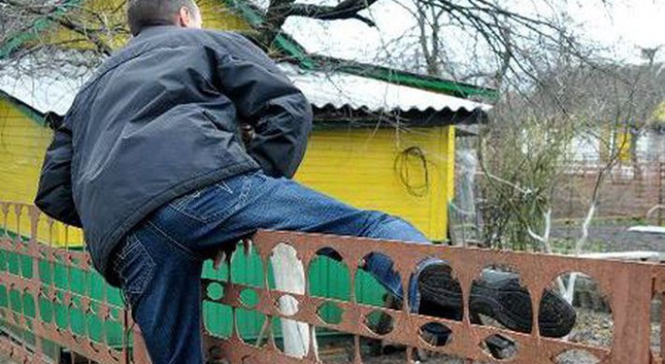 Муромская дачница самостоятельно задержала серийного вора