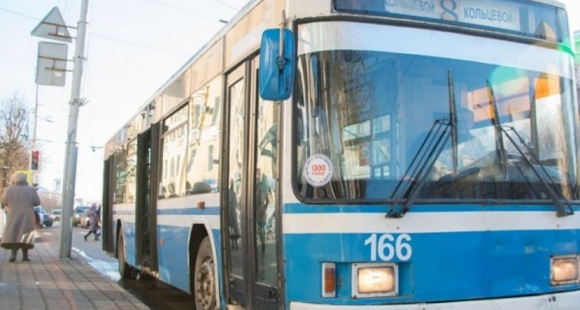 В мэрии Владимира намерены купить 80 троллейбусов