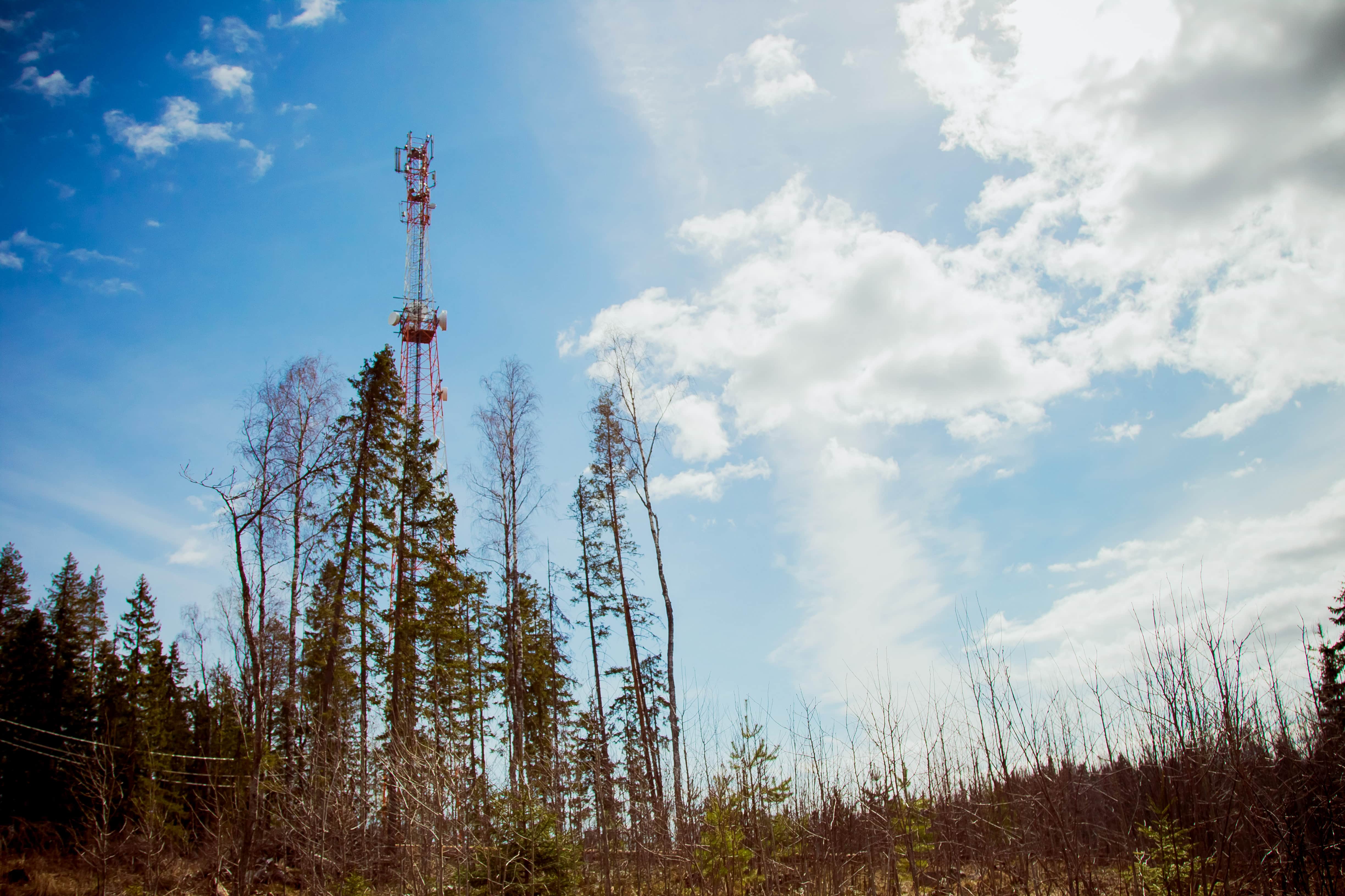 Устранение цифрового неравенства и 5G – итоги развития Tele2 в 2021 году