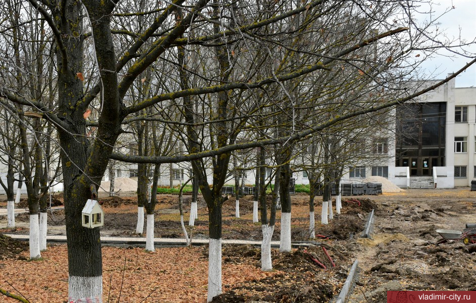 Во Владимире облагораживают сквер возле Дворца детского (юношеского) творчества