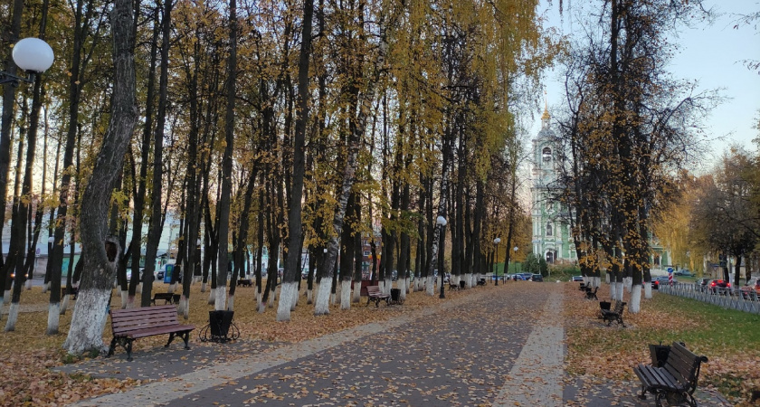  "Погода порадует владимирцев теплом"