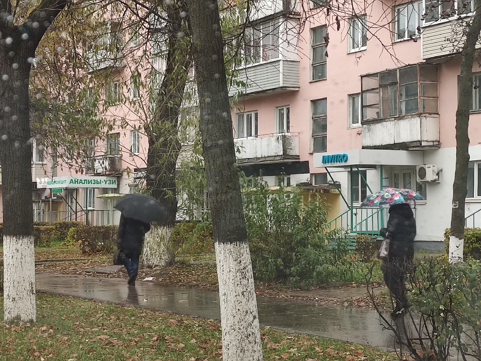 Владимирские синоптики рассказали, сколько в городе будет идти дождь