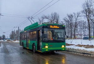Авдеев выделил Коврову 114 миллионов рублей на покупку новых троллейбусов