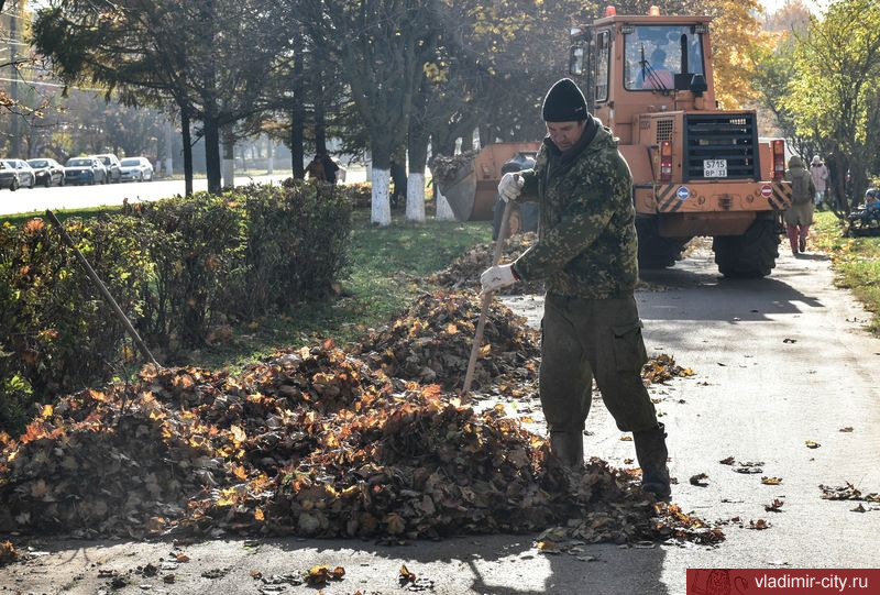 Стало известно, когда во Владимире пройдёт общегородской субботник