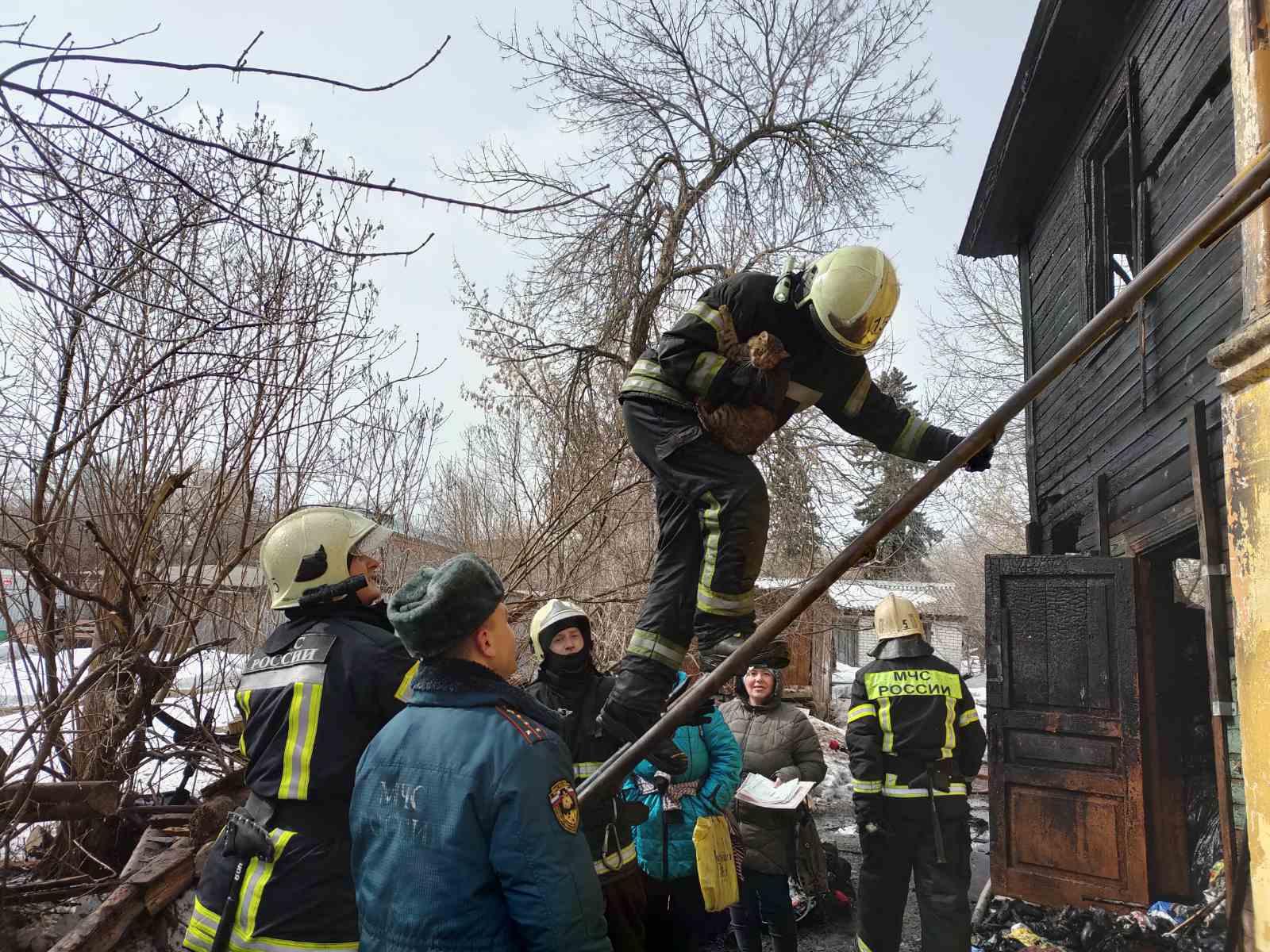 Муромские пожарные спасли из горящей квартиры двух кошек