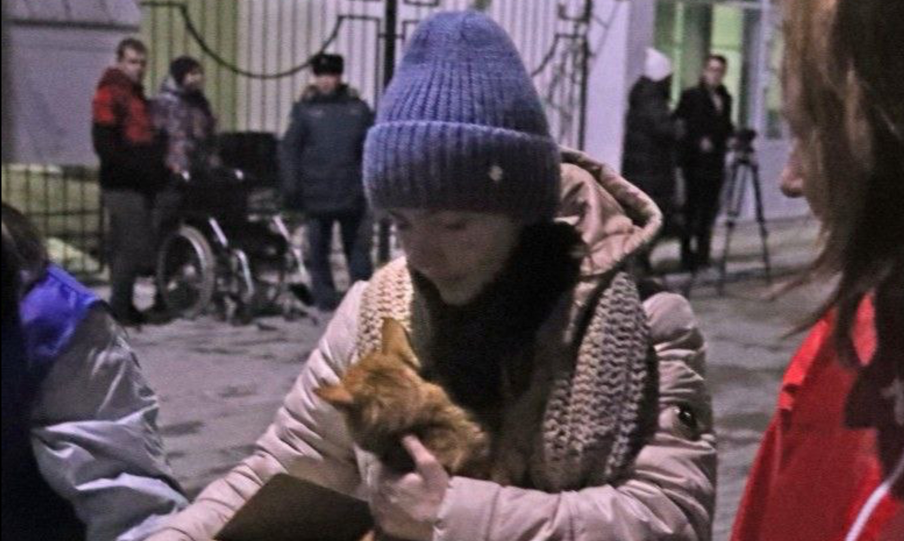 Домашние животные из ДНР и ЛНР нуждаются в помощи
