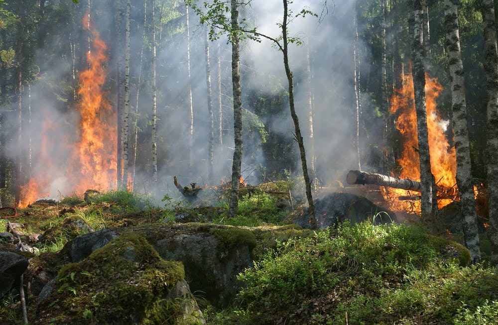 Во Владимирской области с 18 апреля на полгода установят пожароопасный сезон 