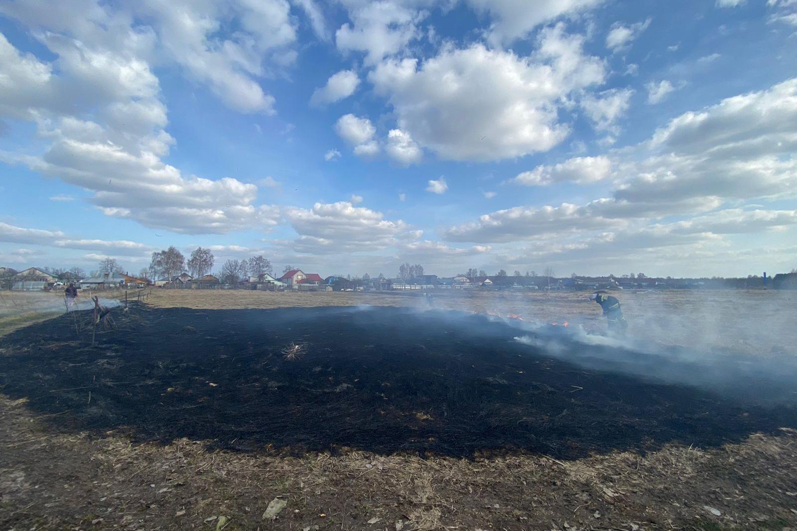В Муромском районе пал травы вызвал огневой фронт