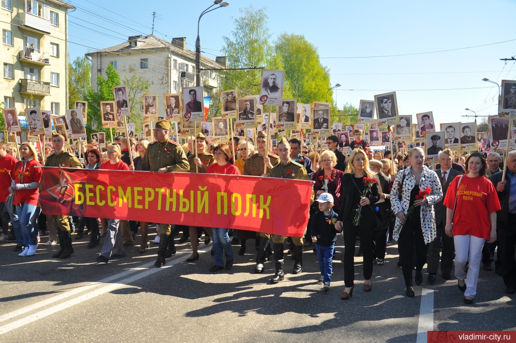 Стало известно, как во Владимире пройдёт шествие "Бессмертного полка"