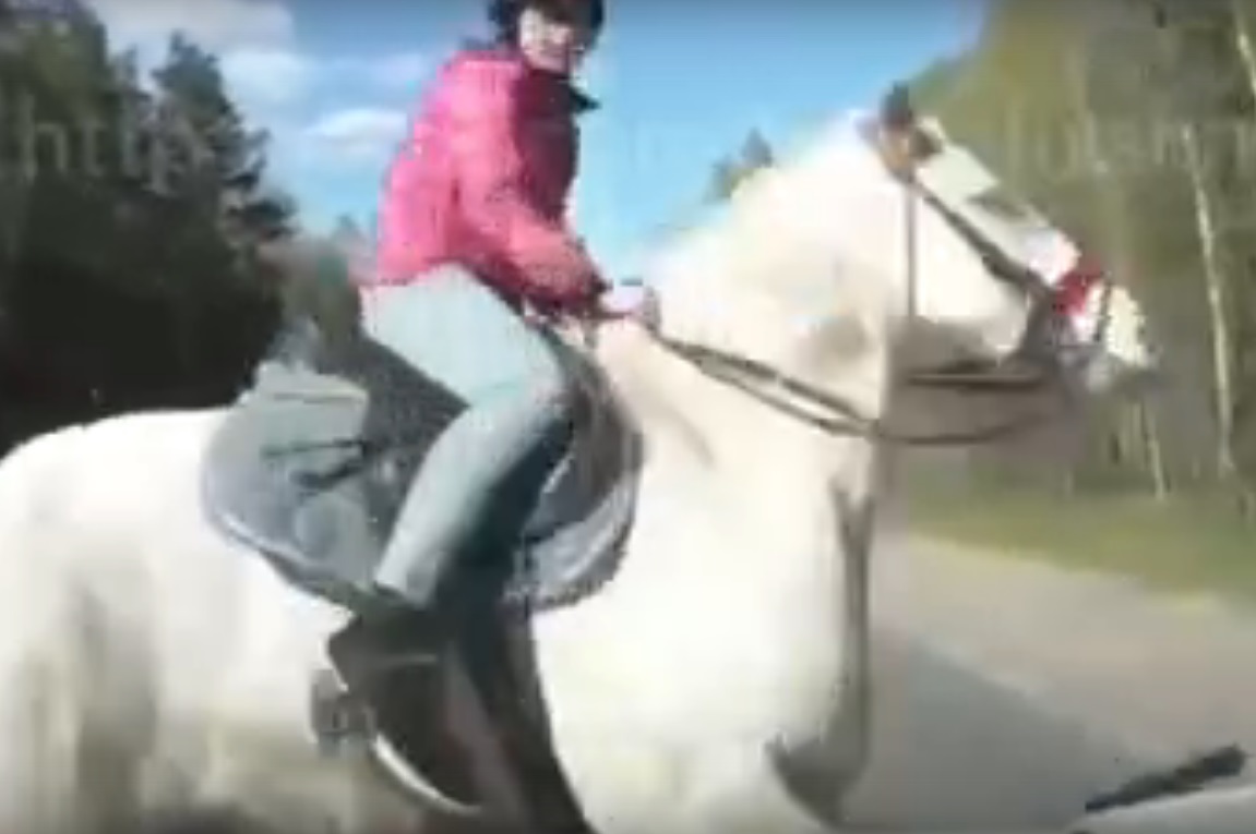 Опубликовано видео столкновения легковушки с девочкой на лошади
