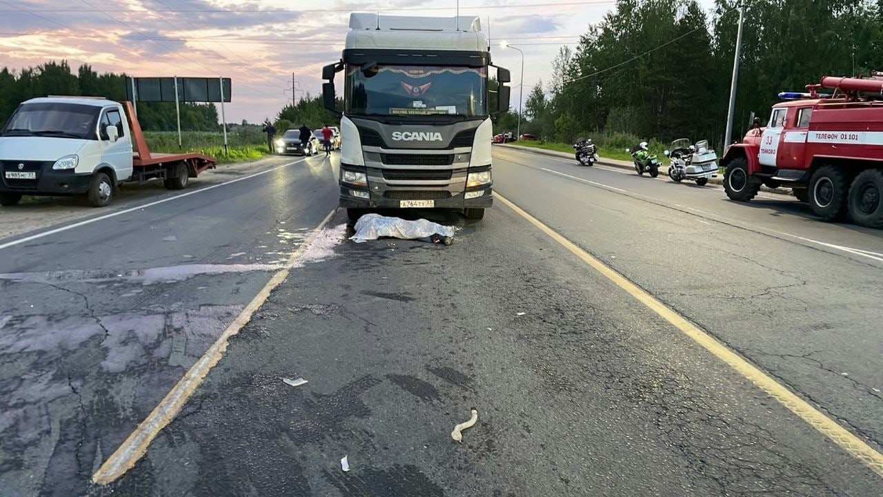 Водитель авто с владимирскими номерами стал участником смертельного ДТП в соседнем регионе