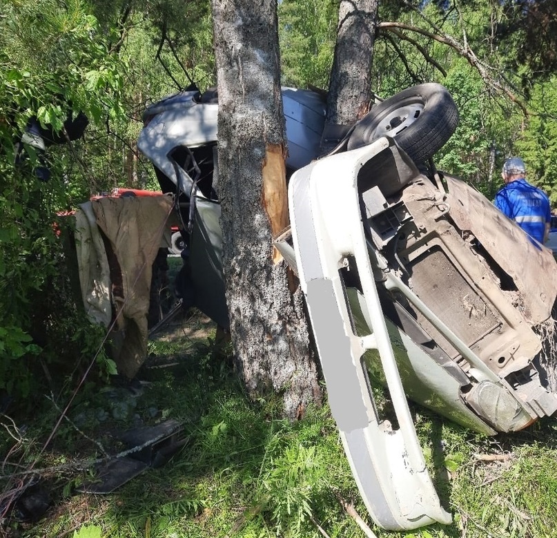 В Судогодском районе легковушка влетела в дерево