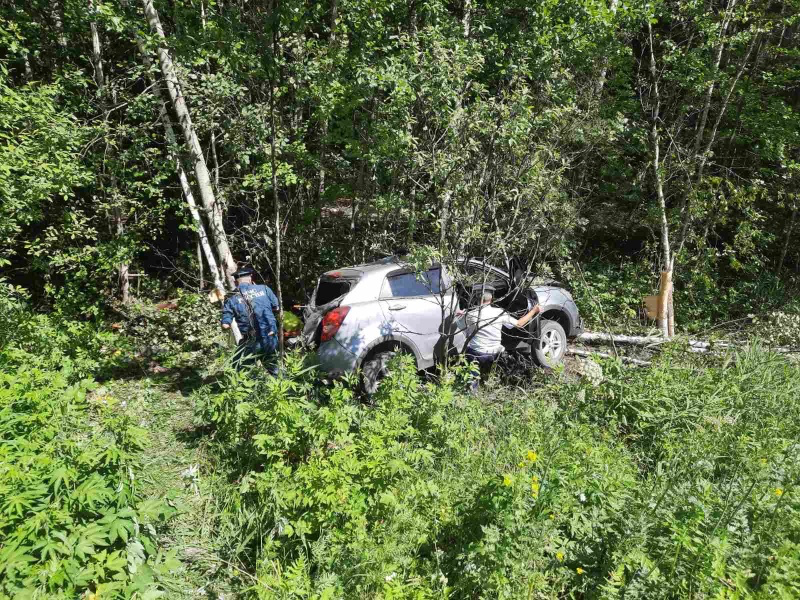 ДТП с пострадавшими: на дороге в Гусь-Хрустальном машина врезалась в дерево