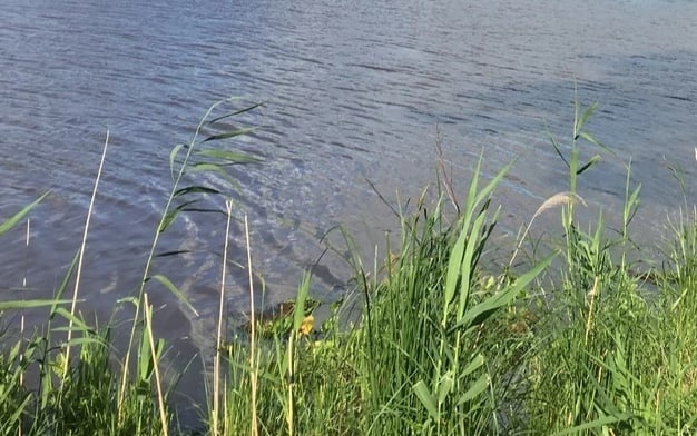 В Юрьев-Польском районе мужчина утонул, спасая женщину