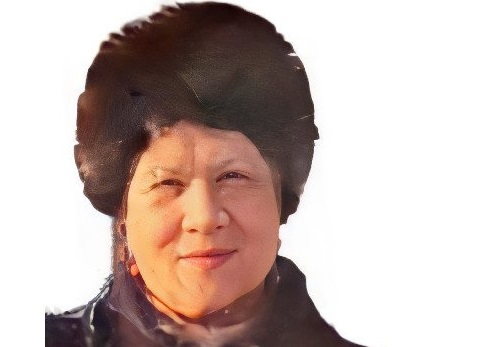 Во Владимире разыскивают пенсионерку с каштановым париком