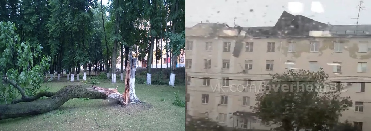Поваленные деревья и сорванные крыши: последствия грозы во Владимире и области
