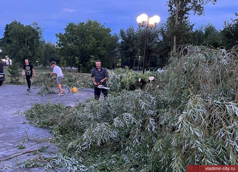 Новости владимира прогород. Ливень во Владимире. Непогода. Шквалистый ветер. Во Владимире упало дерево у Патриарших садов.