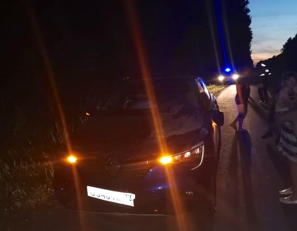 В Селивановском районе лось разбил автомобиль