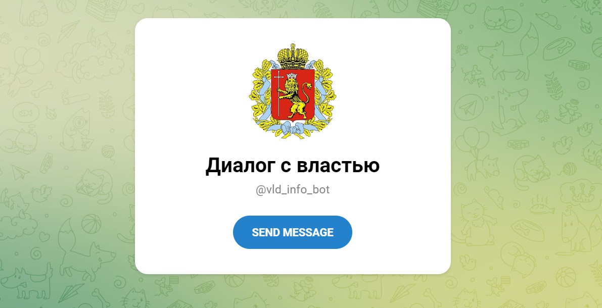 Власть во Владимирской области предложила вести диалог с ботом