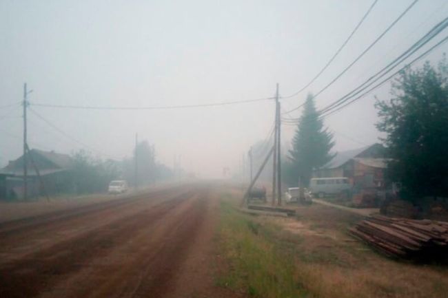 Село во Владимирской области засыпало пеплом от лесных пожаров