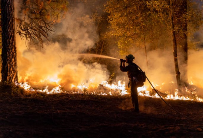 В трех районах Владимирской области лесопожарная ситуация вызывает опасения
