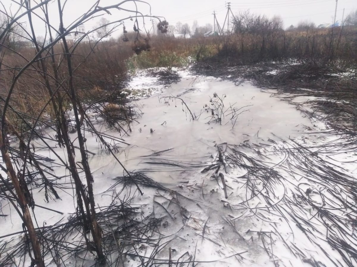 Названы предприятия-активные загрязнители водоёмов во Владимирской области