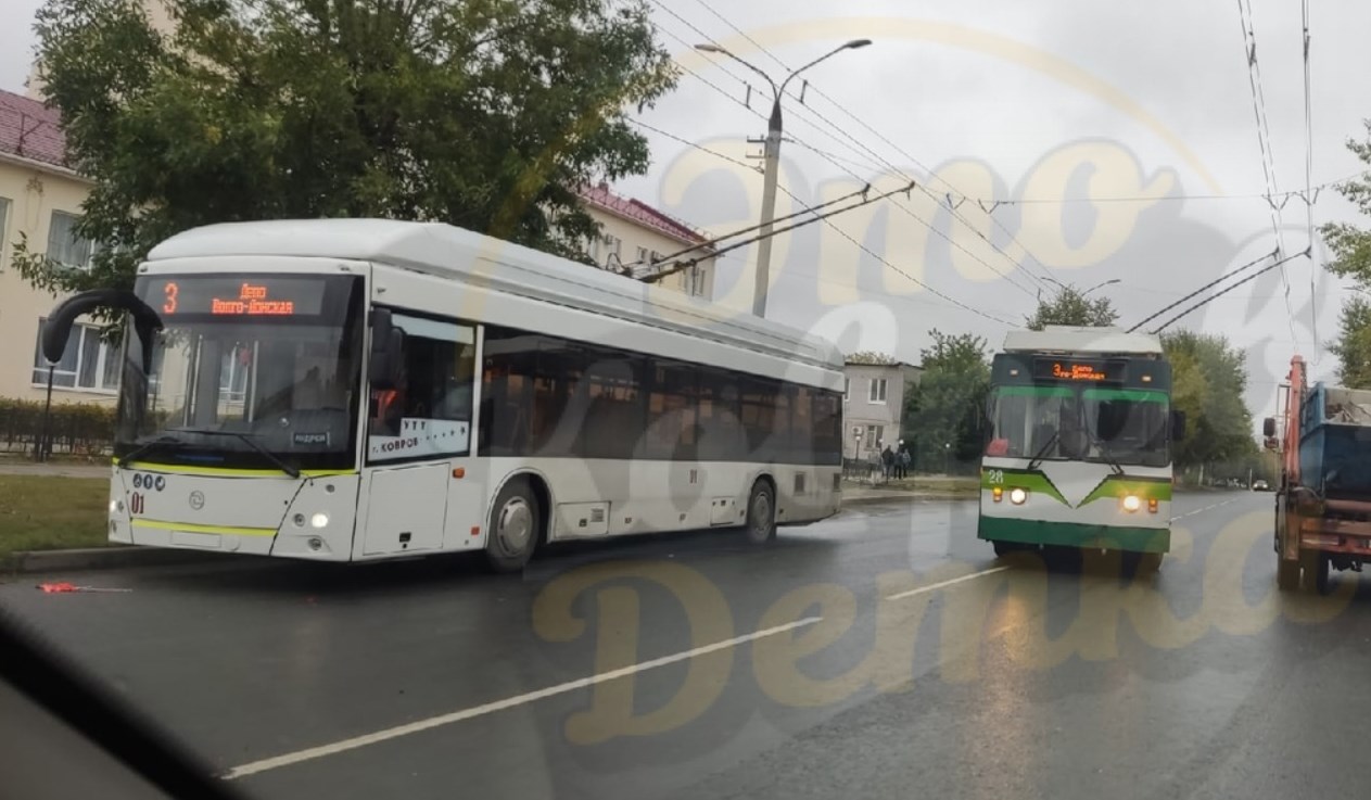  свалка унитазов, коровы на клумбах и троллейбусные обгонялки